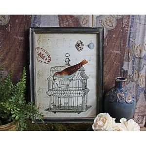    Shabby Cottage Chic Bird Cage Print Home Decor