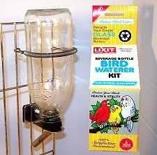 Lixit Glass Bird Bottle   Medium   16 oz
