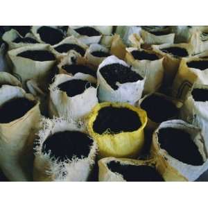  Sacks of Tea, Melfort Tea Factory, Nuwara Eliya Region 