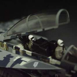 WITTY WINGS 1/72 F A 18 Special Centennial FA 18F LTD  