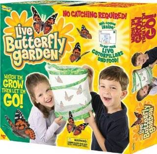 15. Insect Lore Live Butterfly Garden by Insect Lore