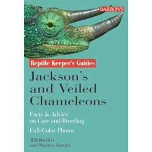  Top Quality To Jackson & Veiled Chameleons