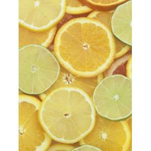 Citrus Slices. Lemon, Lime, Orange, Grapefruit and Tangerine Stretched 