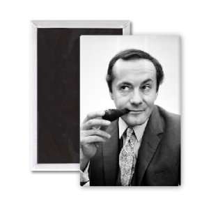 Henry McGee   3x2 inch Fridge Magnet   large magnetic button   Magnet