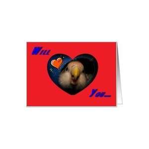  Pinky Lovebird Will You Be My Valentine Valentines Day 