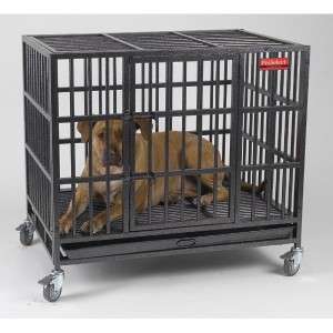 ProSelect Empire Dog Crate Worlds Strongest Cage Large  