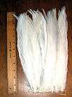 25 RED Feathers Dyed Rooster Coque Tail Strung 12 14  