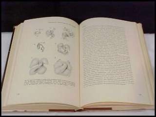 CONGENITAL ANOMALIES OF VISCERA BOOK~EMBRYO~BREMER~1957  