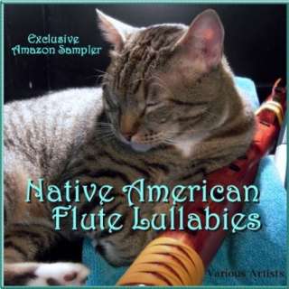  Native American Flute Lullabies Various Artists