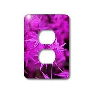 Yves Creations Colorful Leaves   Vibrant Purple Leaves   Light Switch 