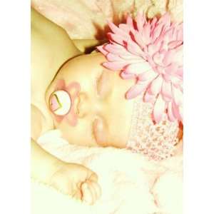  Harper Paige Large Mum Flower Headband Baby