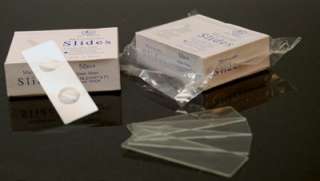 300 Double Concave Blank Microscope Slides 1 x 3 NEW  