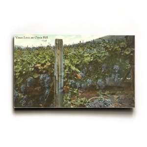 Vines Love an Open Hill, Vineyard , 12x8 