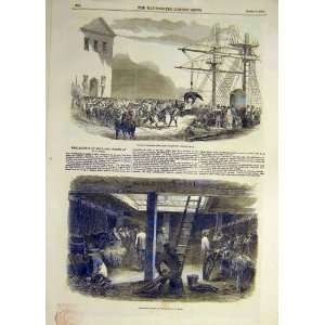   1854 Artillery Horses Sling Ship Vessle Hold Woolwich