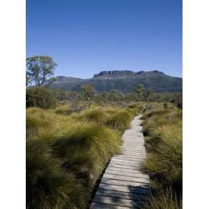  Final Stretch of Overland Track to Narcissus Hut, Mount 