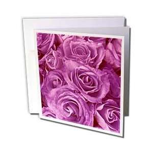 Florals Flowers Roses Bouquet   Close up scene of dreamy muted magenta 