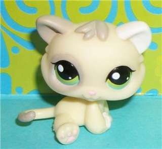Littlest Pet Shop~#1074 CREAM & GRAY KITTEN Green Eyes Kitty~H107 LPS 