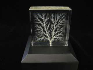 Rare Captured Lightning Lichtenberg Figure Sculpture  