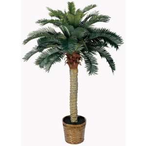  4 Ft Sago Silk Palm Tree