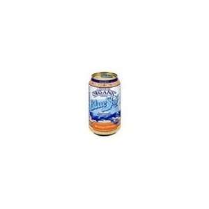 Blue Sky Orange Divine Soda ( 4x6 PK)  Grocery & Gourmet 