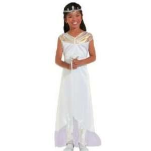  Girls Bride Costume Weddding Dress & Veil Lg 10 12 Toys & Games