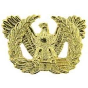  U.S. Army Warrant Officer Candidate Pin 1 Arts, Crafts 